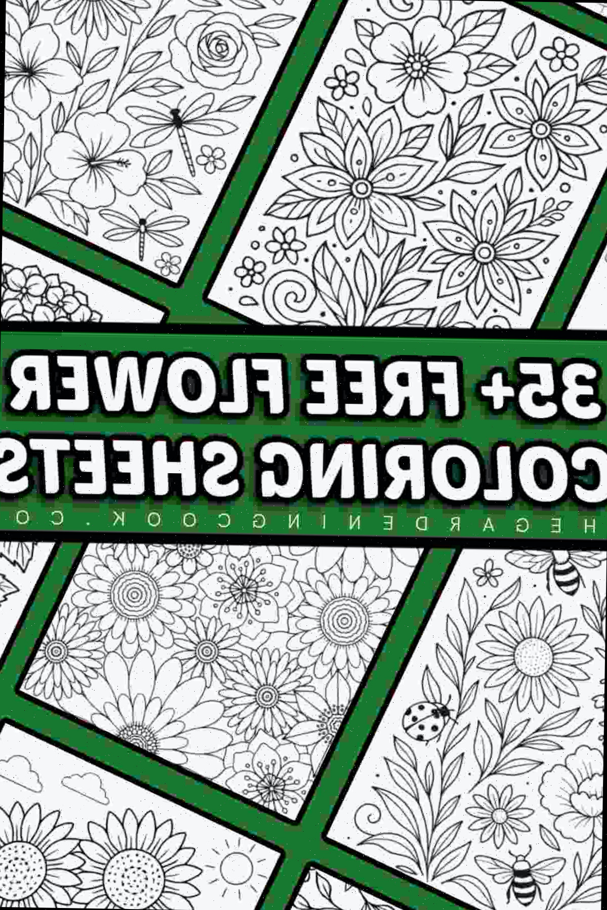 Obtenha 35+ folhas para colorir de flores gratuitas para impressão Uma colagem de nove páginas para colorir de flores gratuitas para impressão, sob uma sobreposição de texto que diz 35+ folhas para colorir de flores gratuitas.