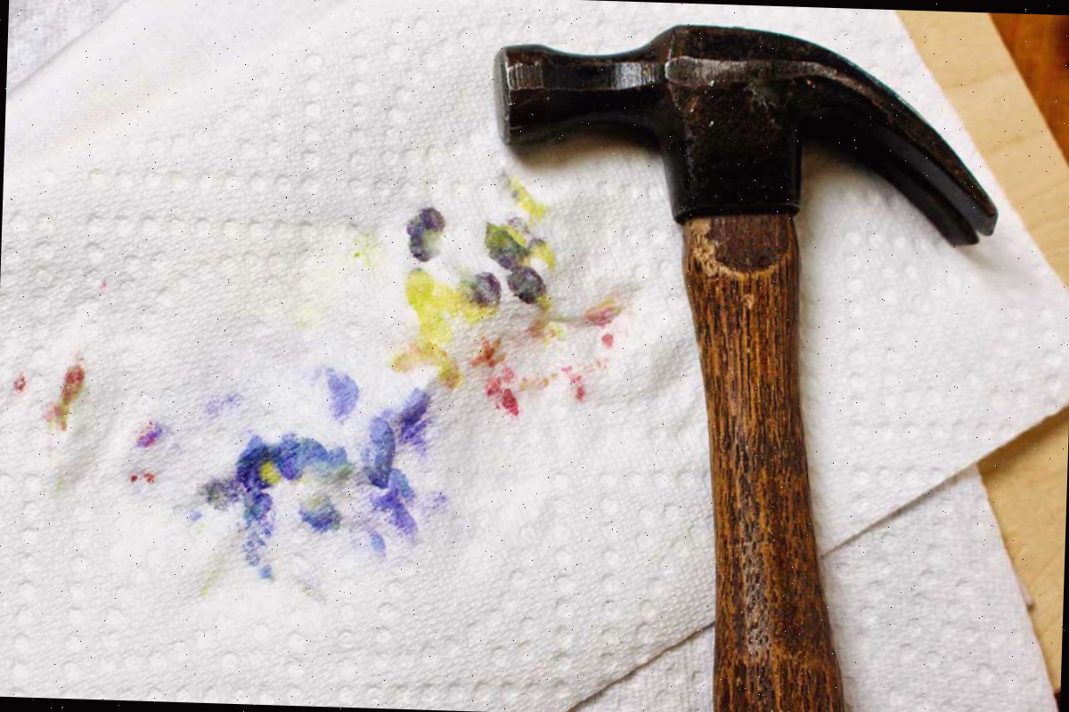 Um martelo repousando sobre uma pilha de toalhas de papel usadas na prensagem de flores.