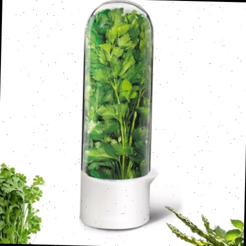 Protetor de ervas para geladeira, recipientes de coentro para cápsulas de coentro para geladeira, protetor de ervas frescas mantém vegetais verdes por 2 a 3 semanas