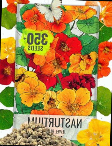 Sementes de Capuchinha Jewel Mix Flores Comestíveis Multicoloridas | 1,5 Onça 350+ Sementes da Mistura de Sementes de Flor Anual Tropaeolum Nanum | Capuchinhas para o manejo de insetos da abóbora