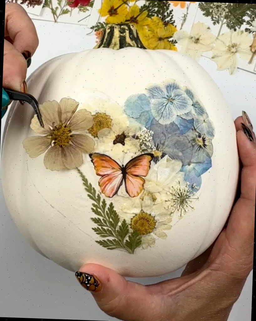 abóbora com flores secas