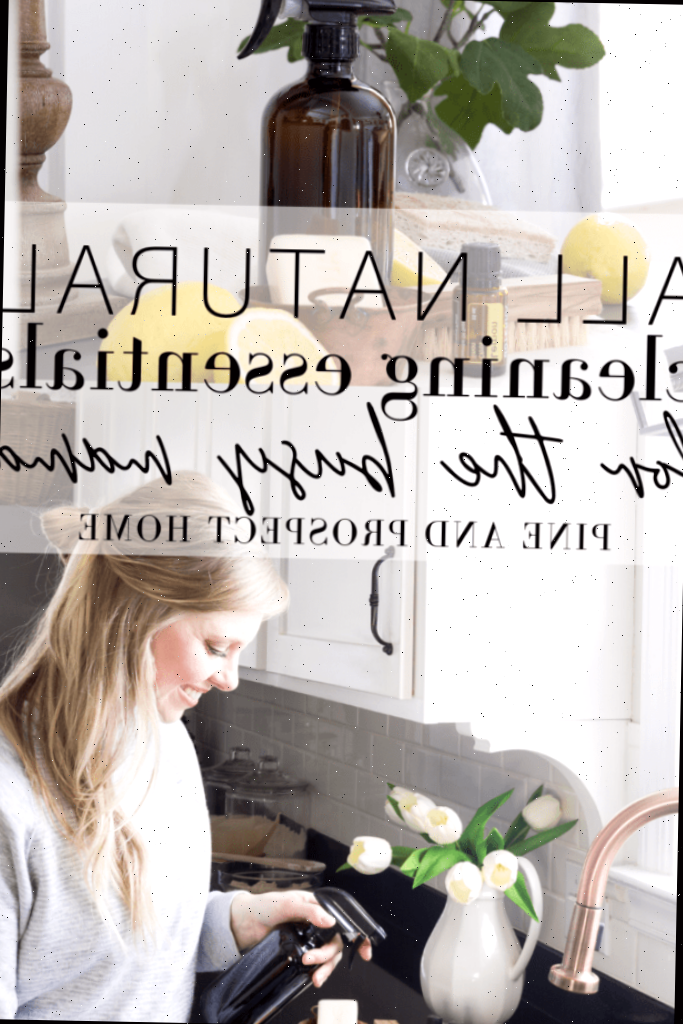 Optar por produtos de limpeza naturais poupa bastante tempo e recursos!