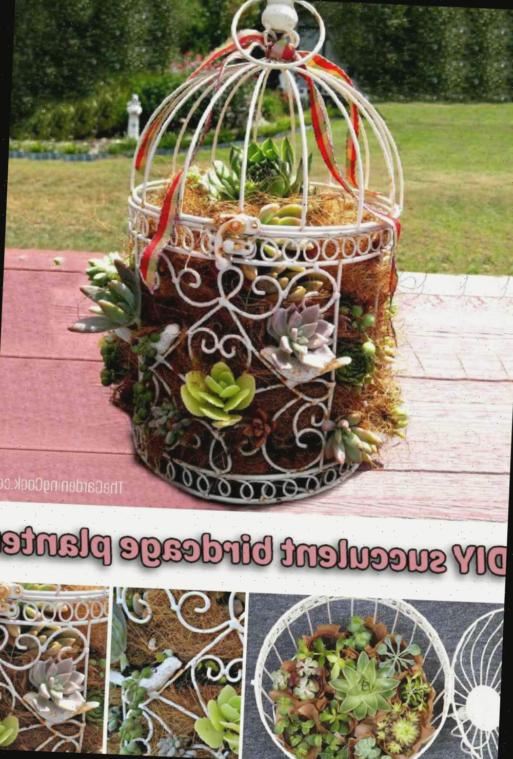 Uma colagem exibindo fotos de suculentas em uma gaiola e texto informando Jardim suspenso DIY de suculentas.