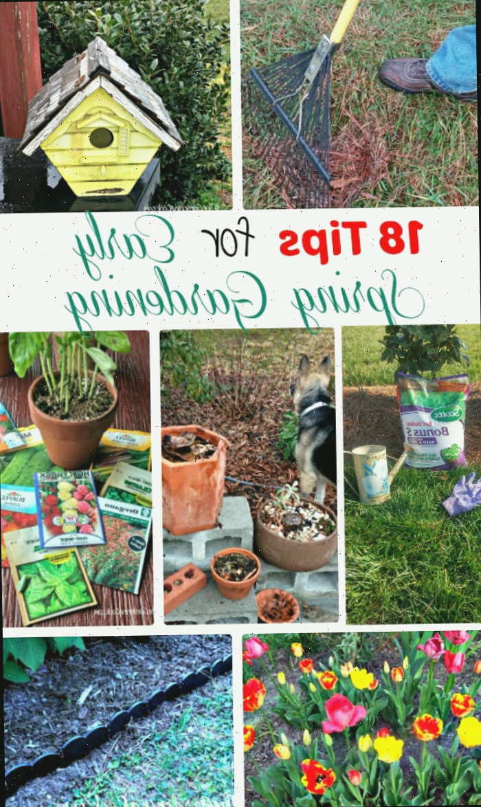 18 Dicas para Jardinagem no Início da Primavera Colagem com rastelo, casa de pássaros, cuidado do gramado, vasos, sementes e flores, e palavras dizendo 18 Dicas para Jardinagem no Início da Primavera.