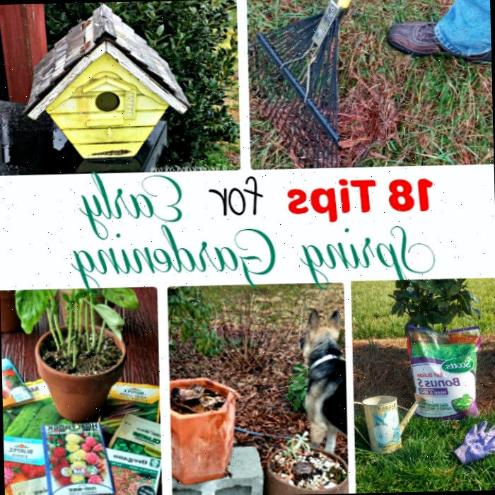 Projetos de Jardim para o Início da Primavera