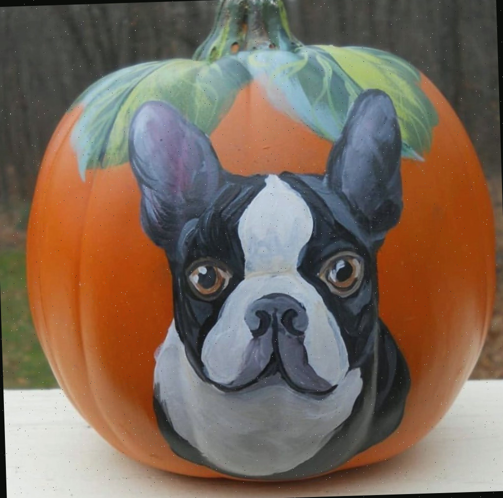Abóbora de cachorro