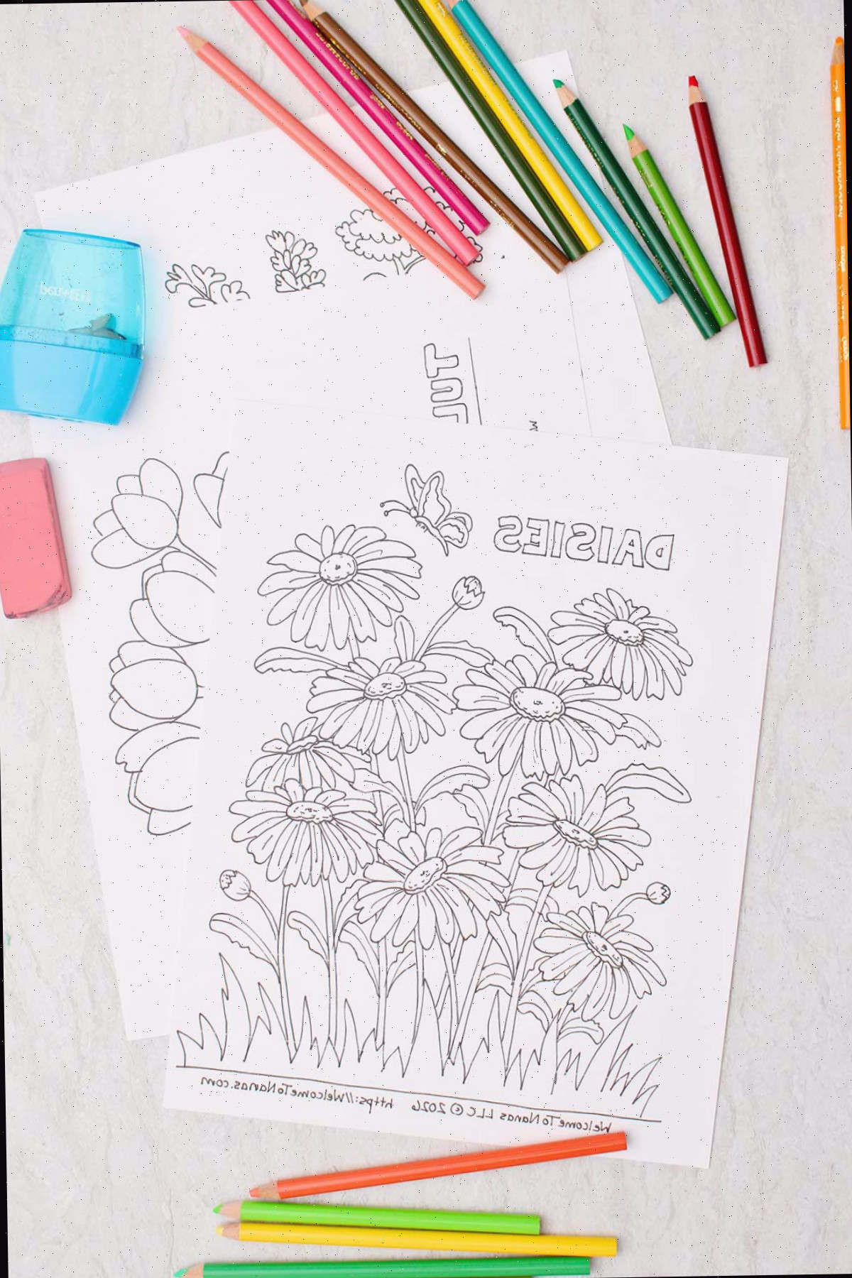 Páginas para colorir não coloridas com lápis de cor, um apontador e uma borracha rosa por perto.
