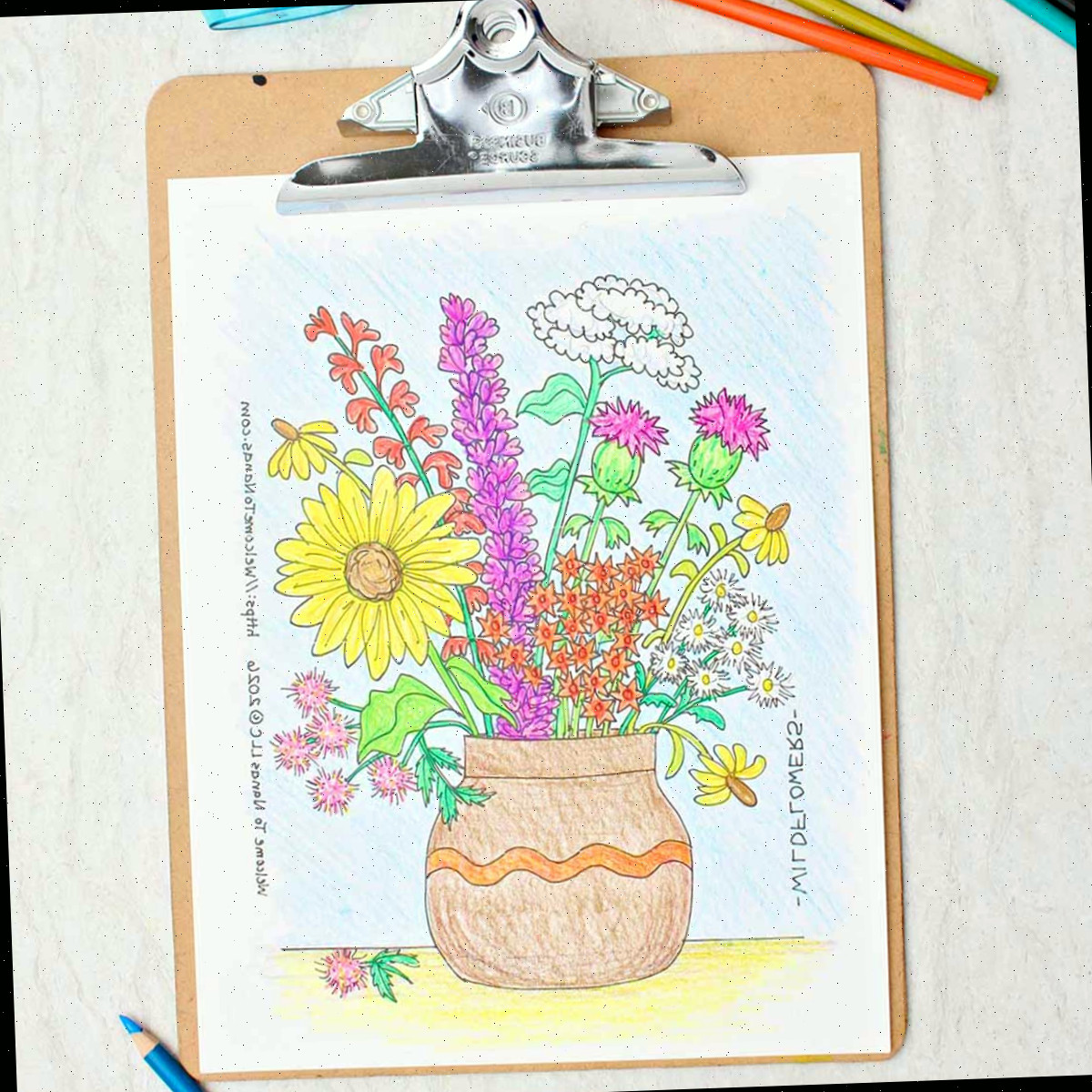 Páginas de Colorir de Flores Gratuitas