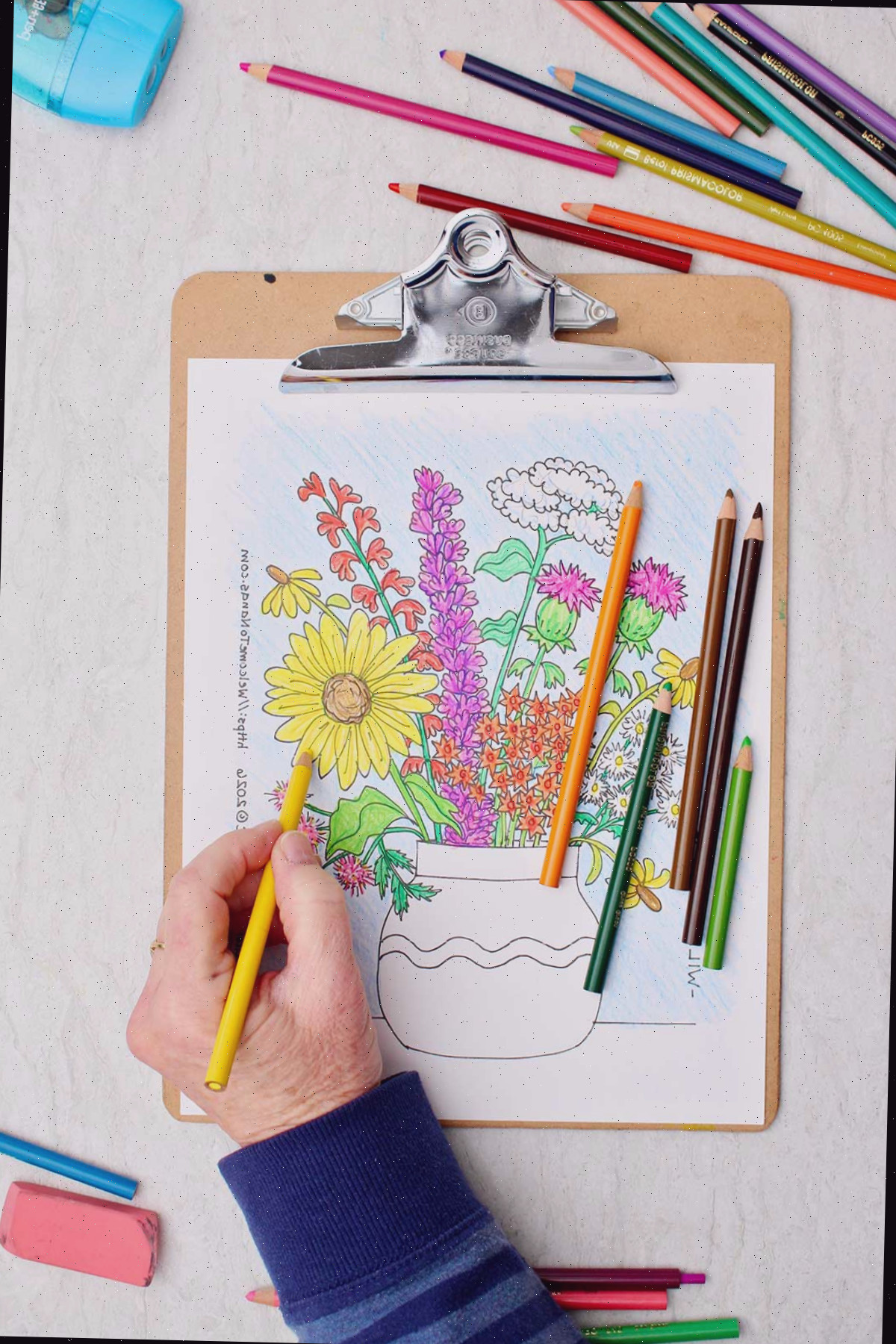 Pessoa colorindo uma margarida amarela na página de colorir de um buquê de flores silvestres em um vaso.