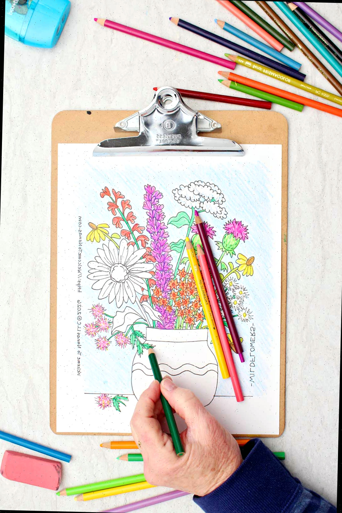 Pessoa colorindo caules de verde na página de colorir de um buquê de flores silvestres em um vaso.