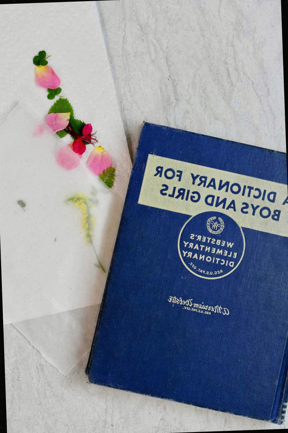 Um dicionário azul está próximo de um pedaço de papel vegetal, uma toalha de papel e alguns pétalas e folhas de flores.