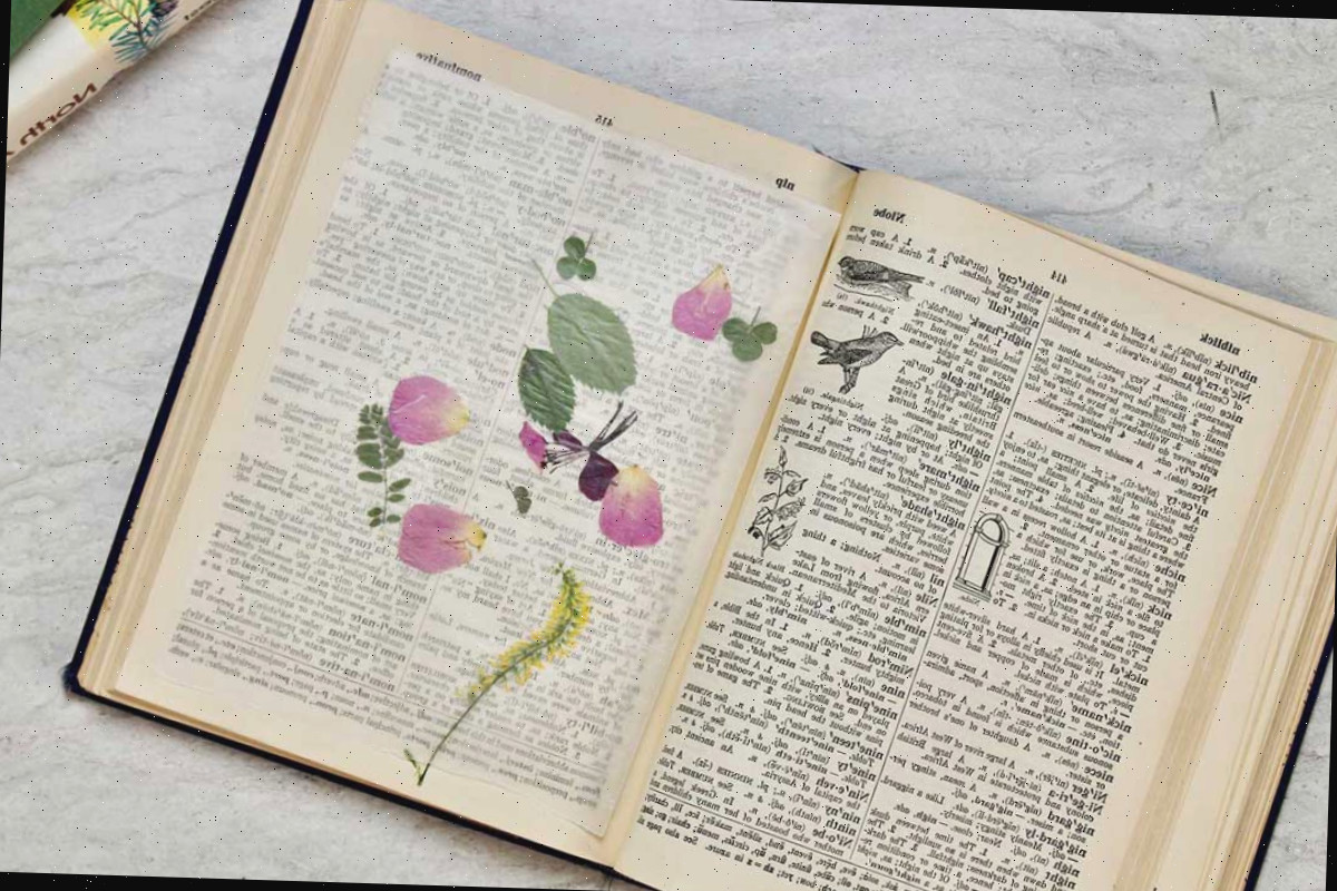 Dicionário aberto com flores pressionadas descansando sobre um pedaço de papel vegetal.