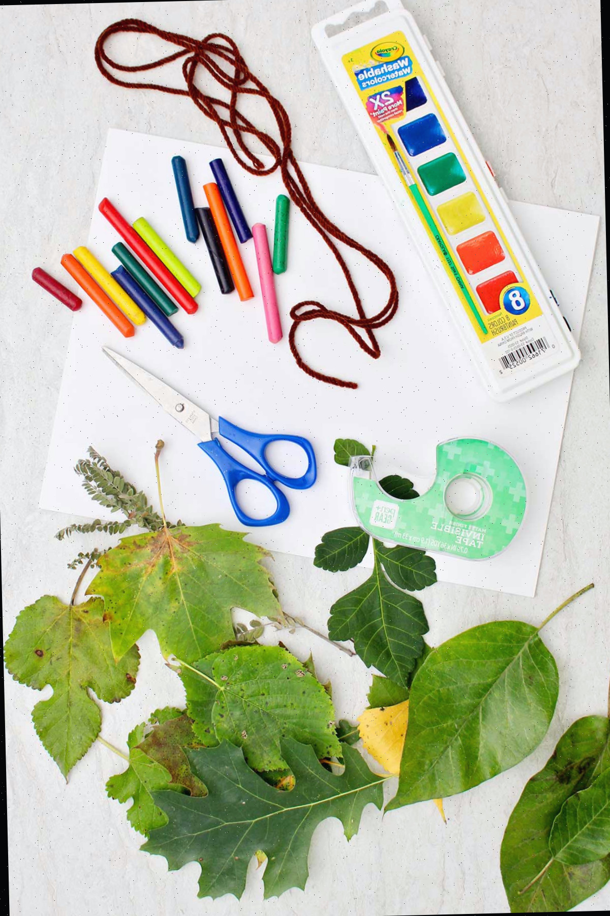 Folhas frescas de diferentes formatos, fita, papel, tesoura, aquarelas e giz de cera.