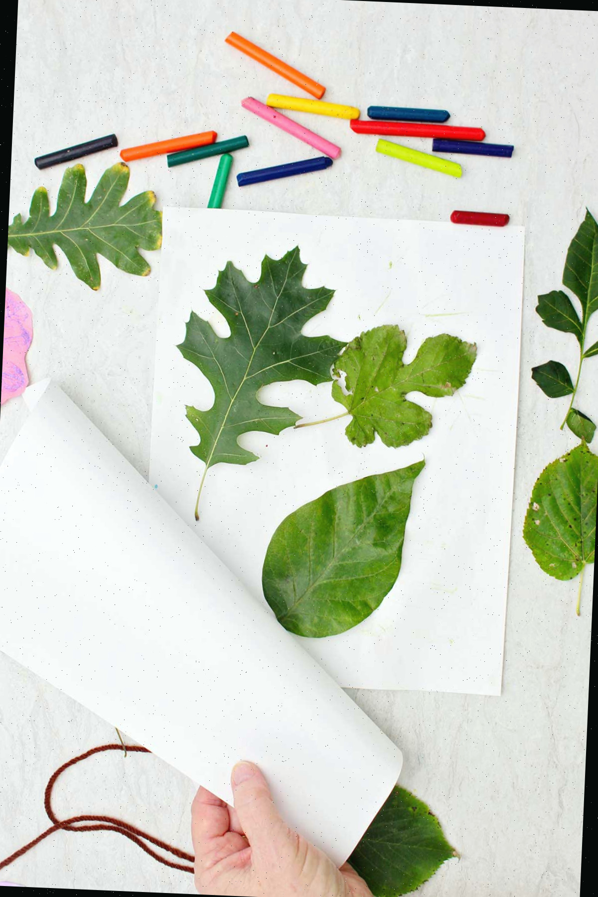Uma pessoa colocando uma folha de papel branco sobre três folhas diferentes para impressões de folhas.