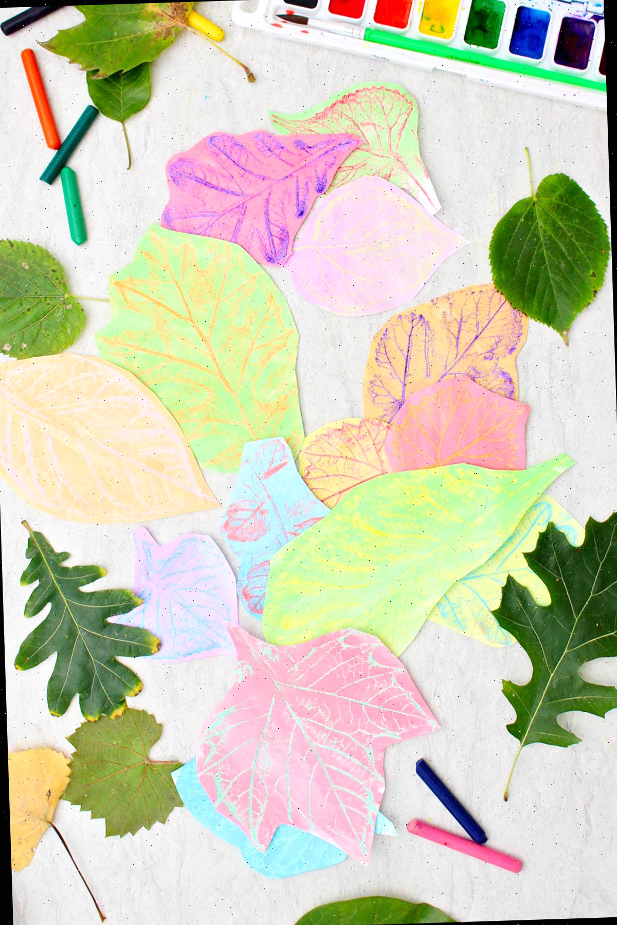 Um monte de diferentes folhas frescas e impressões de folhas coloridas com aquarelas ao redor.