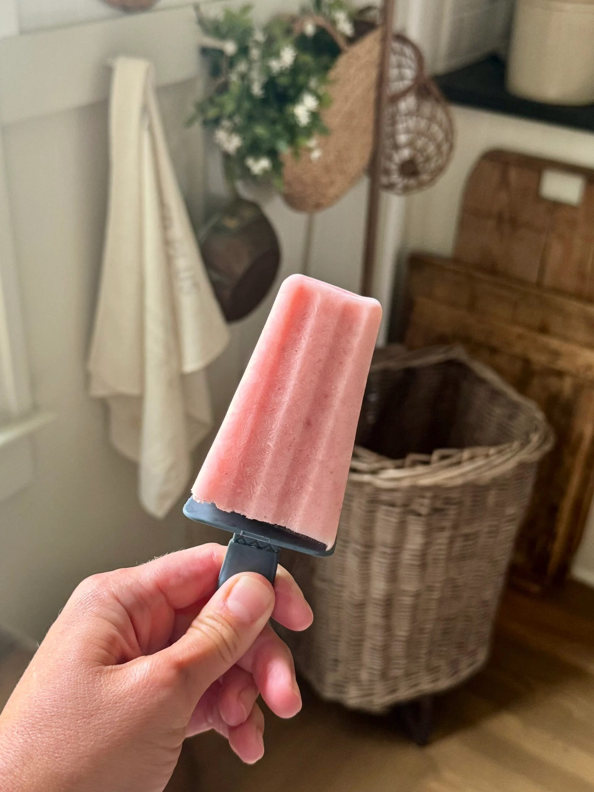 Picolé Caseiro e Delicioso