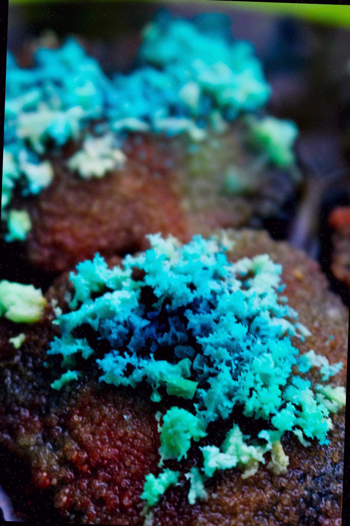 Close de cristais coloridos em verde-água e azul crescendo.