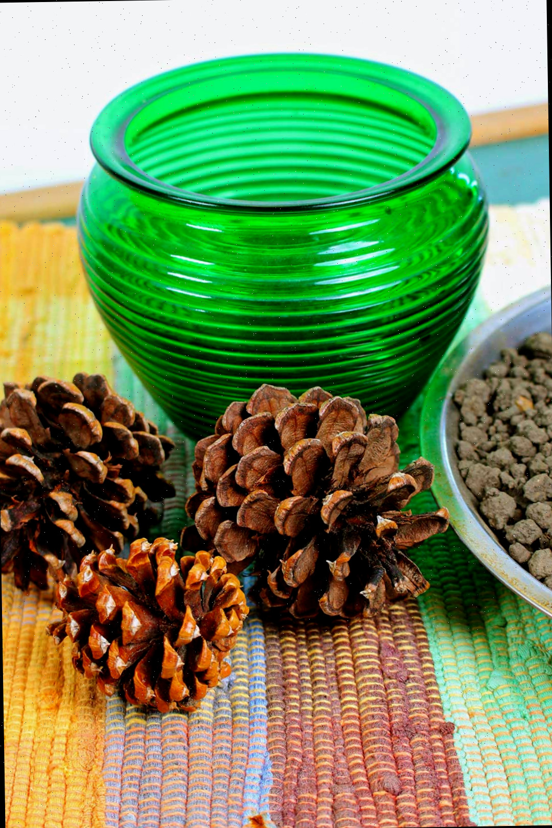 Três corcundas de pinheiro, um recipiente de vidro verde e uma tigela de terra repousando sobre uma toalha quadriculada.
