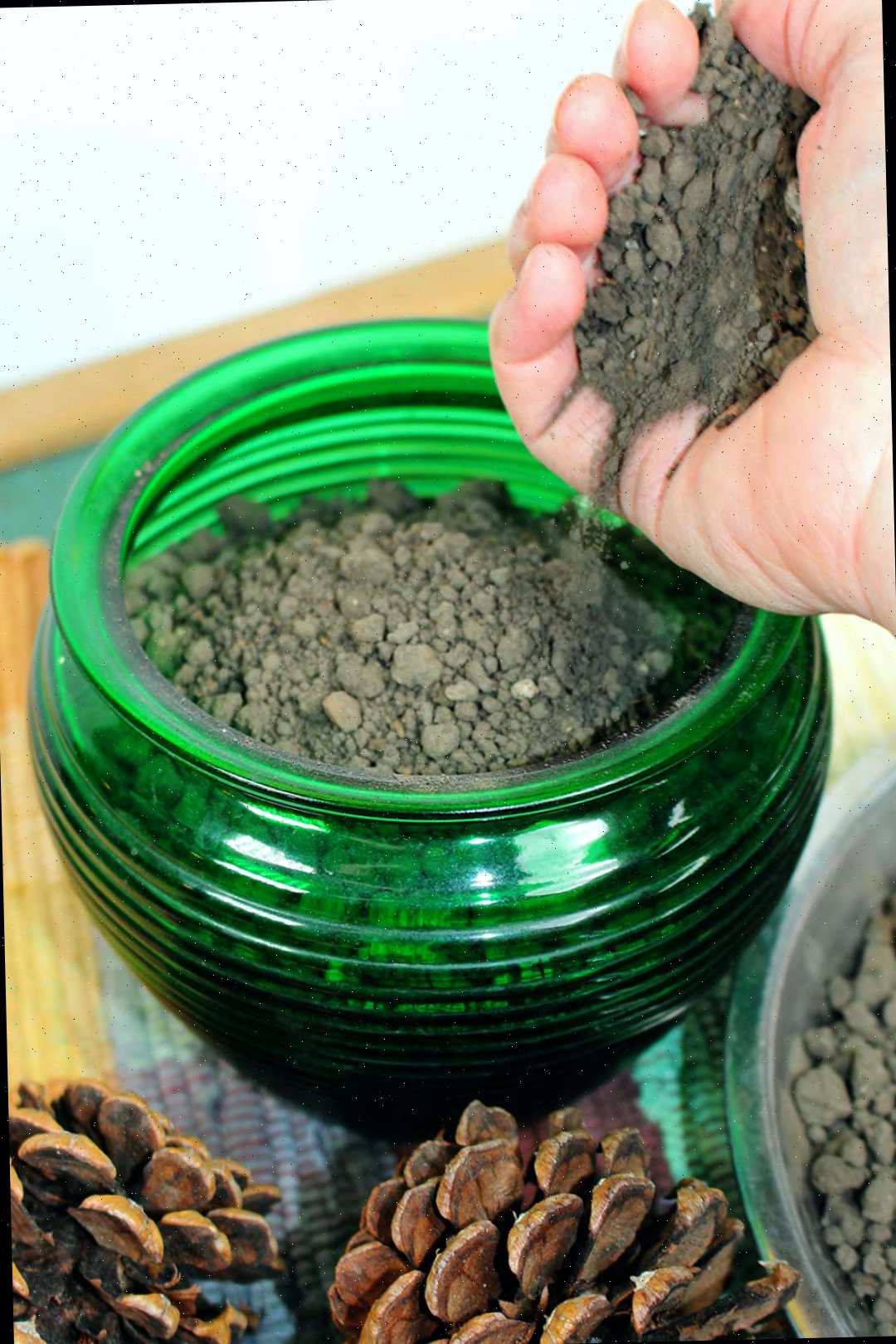Mão despejando um punhado de terra em recipiente de vidro verde com duas corcundas de pinheiro repousando sobre uma toalha quadriculada.