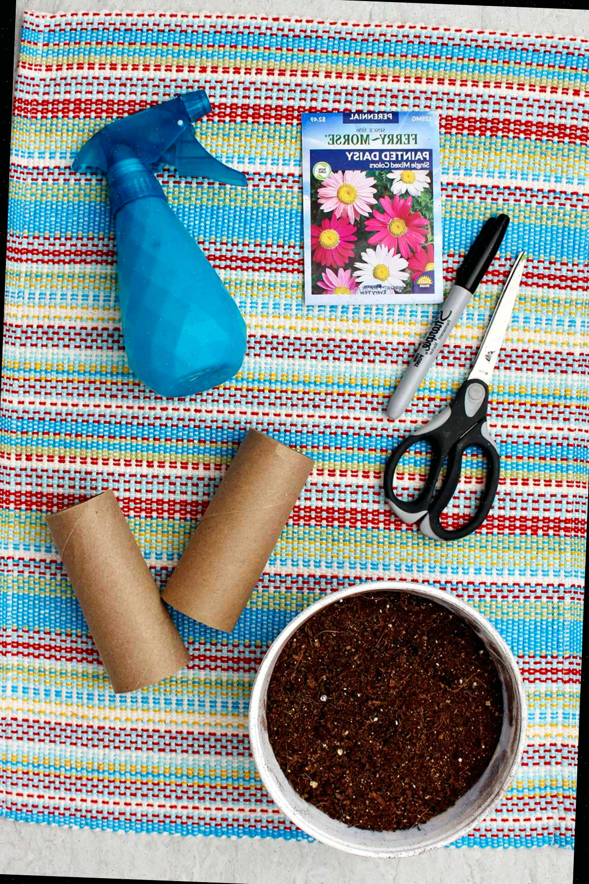 Um borrifador azul, rolos de papel toalha, um recipiente de terra, tesouras, um marcador e um pacote de sementes de margarida sobre um caminho colorido.