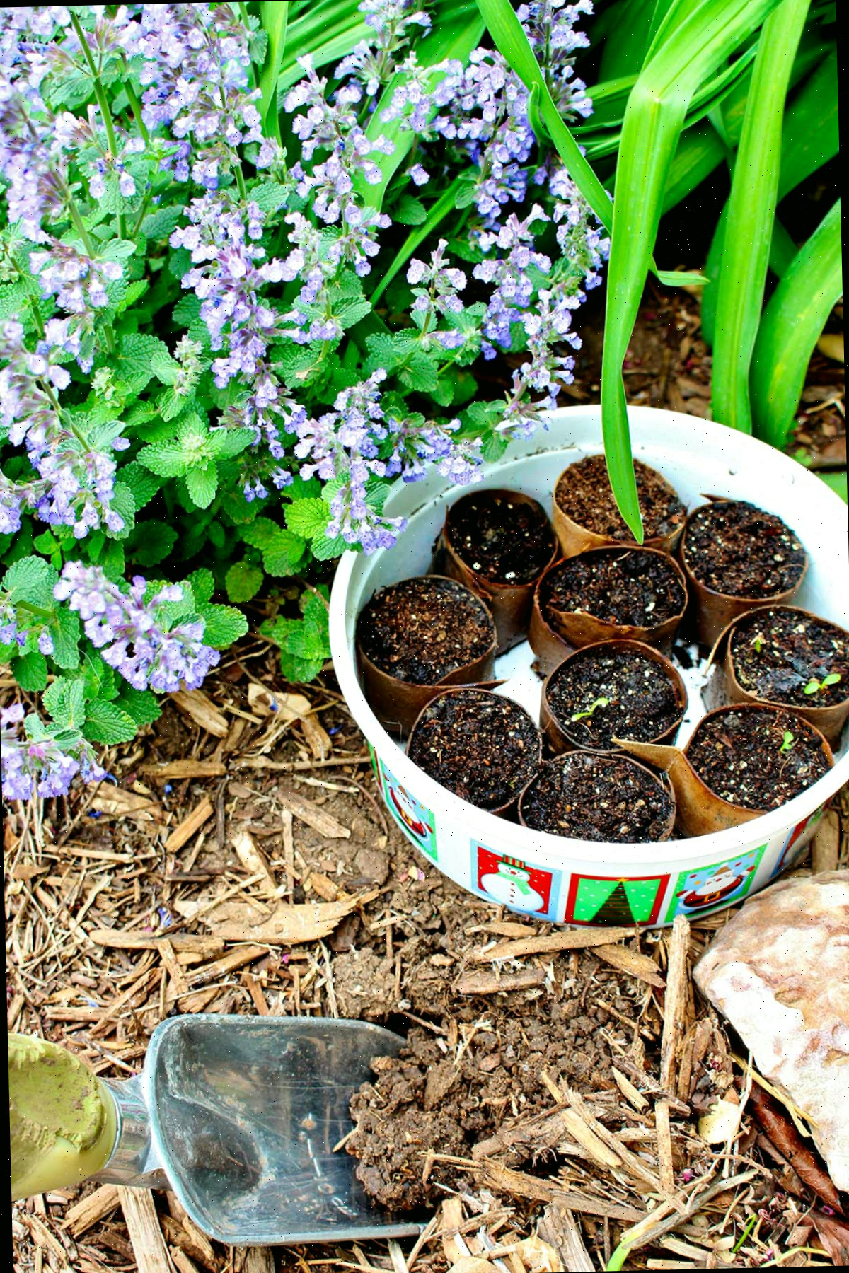Um recipiente com iniciadores de sementes com brotos surgindo em um jardim pronto para ser transplantado.