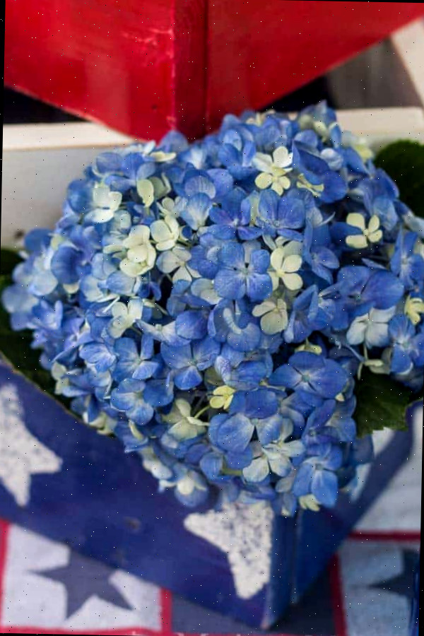 Mesa e flores