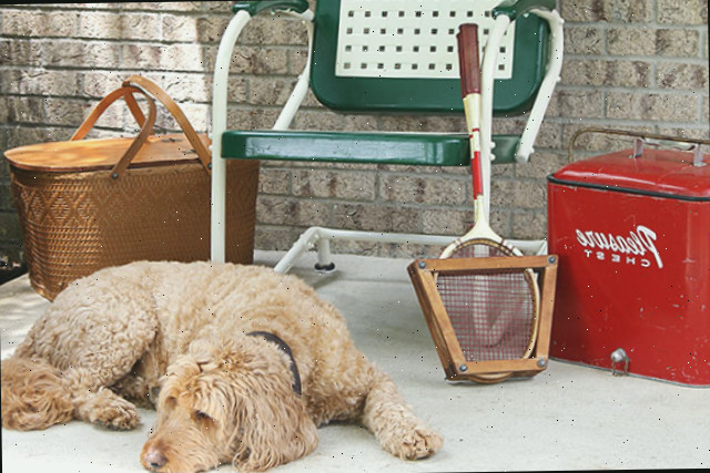 Tutorial DIY simples de seguir sobre como pintar uma cadeira de metal vintage para jardim. Ou qualquer cadeira de metal, na verdade! Labradoodle adorável não incluído