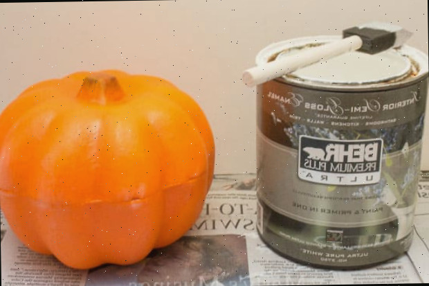BEHR Premium Plus