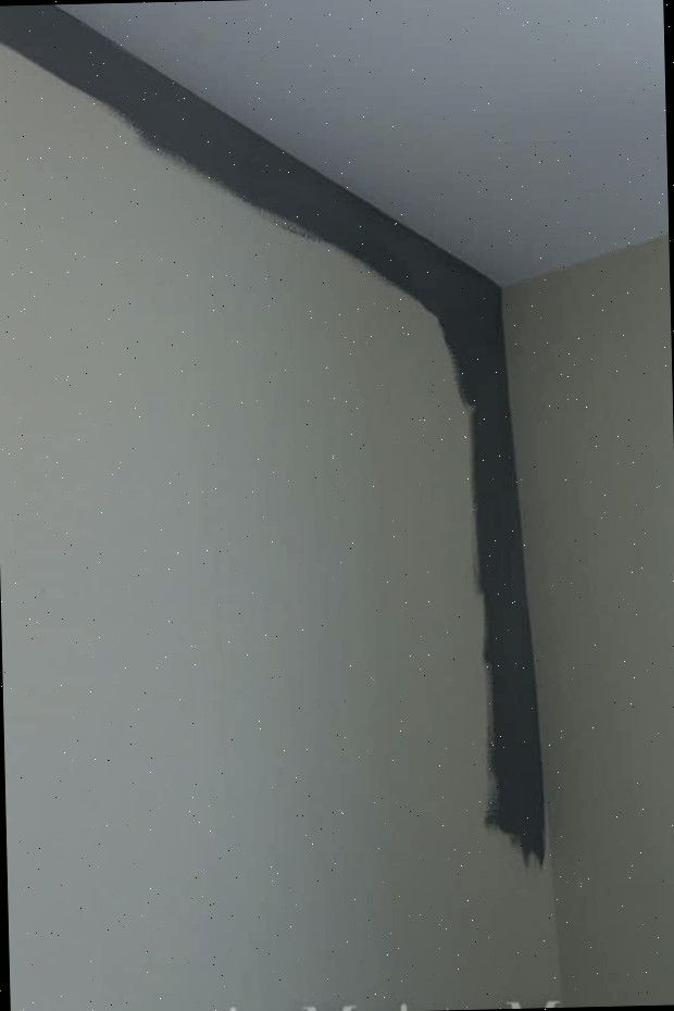 Tinta e Parede