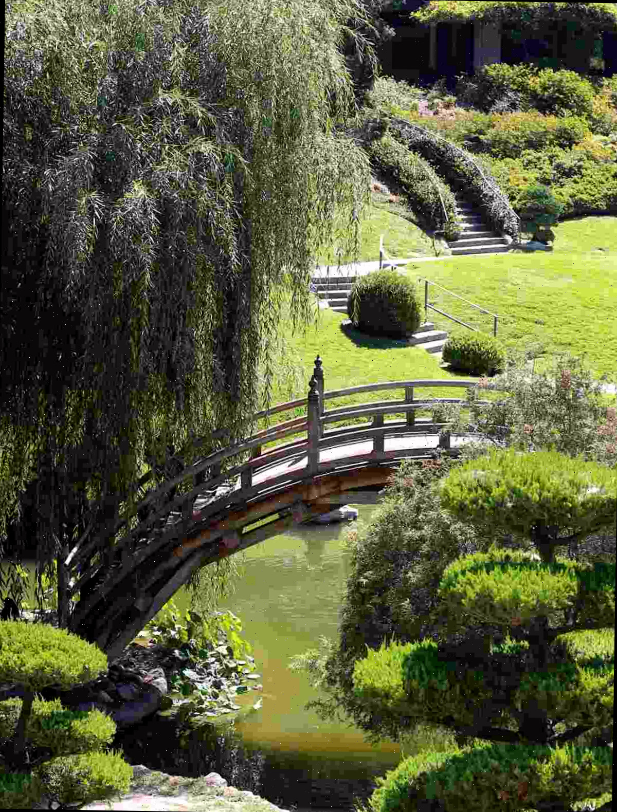 belo jardim japonês