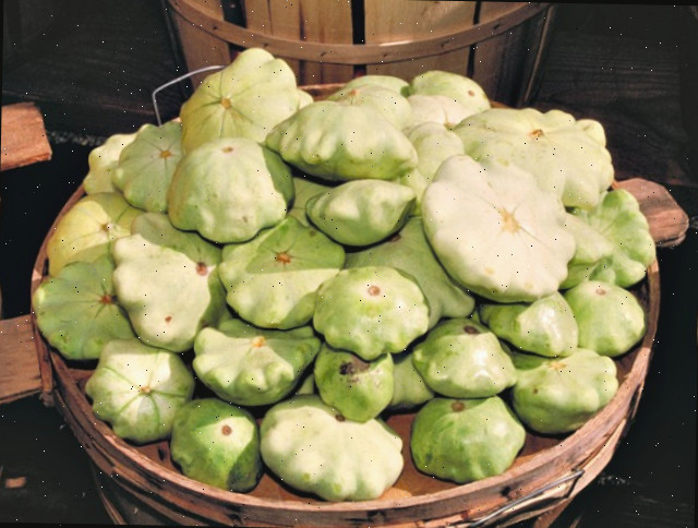 A abobrinha PattyPan tem uma borda recortada deliciosa e um sabor delicado.