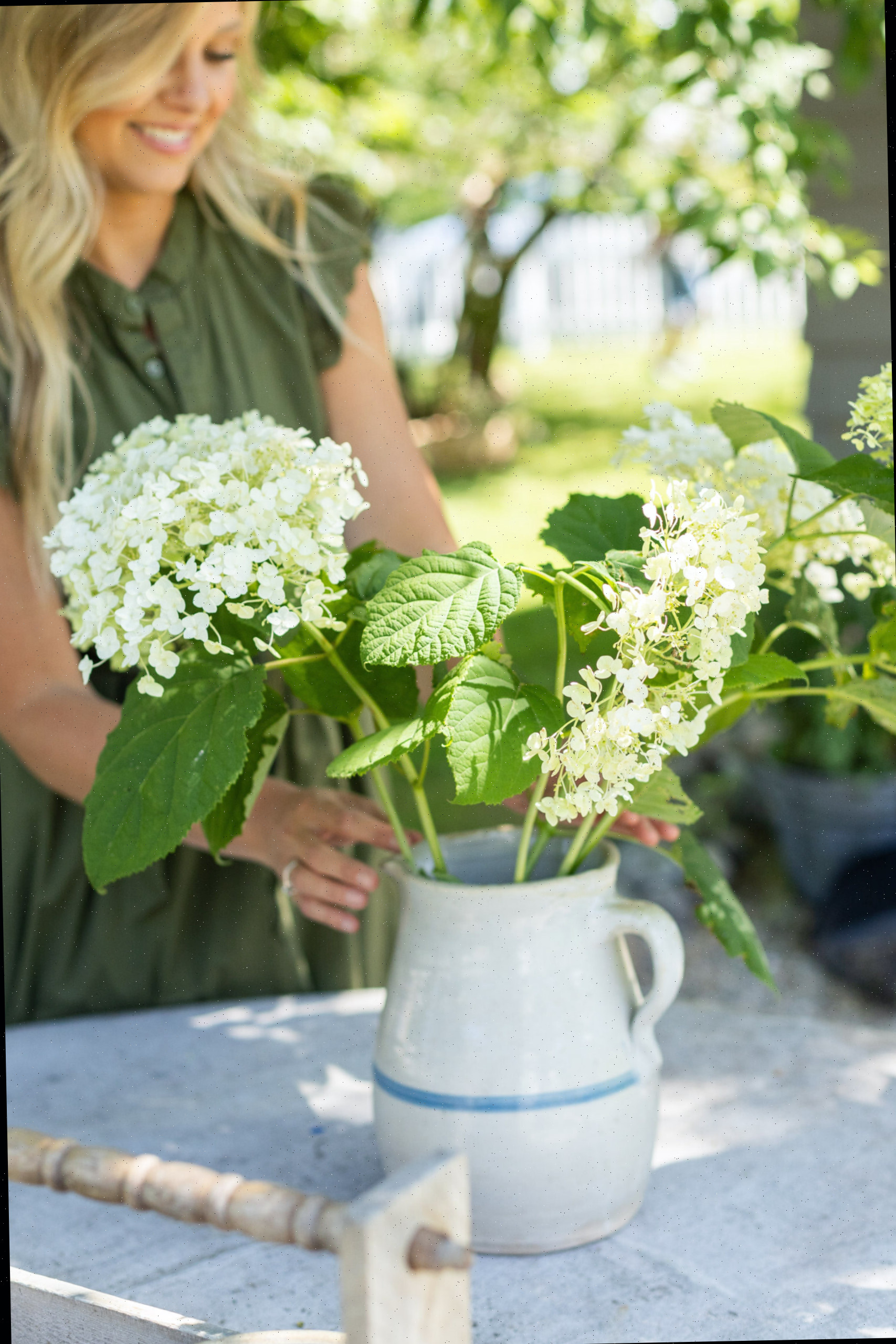 plantas vivas