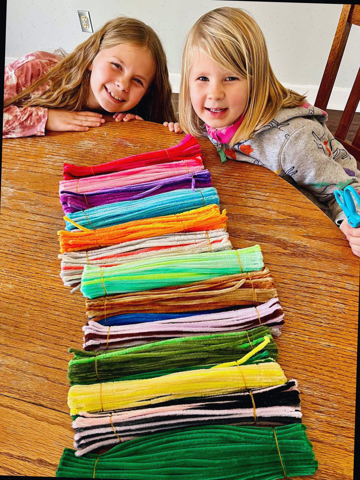 Duas meninas jovens em uma mesa de cozinha com uma variedade de limpadores de tubo coloridos organizados.