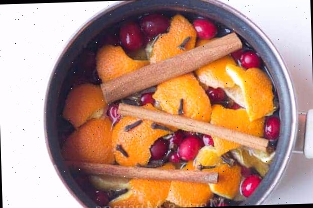 Pot-pourri caseiro fervente feito com laranjas, cranberries, paus de canela e cravos