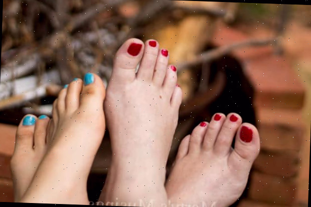 Família e Quintal