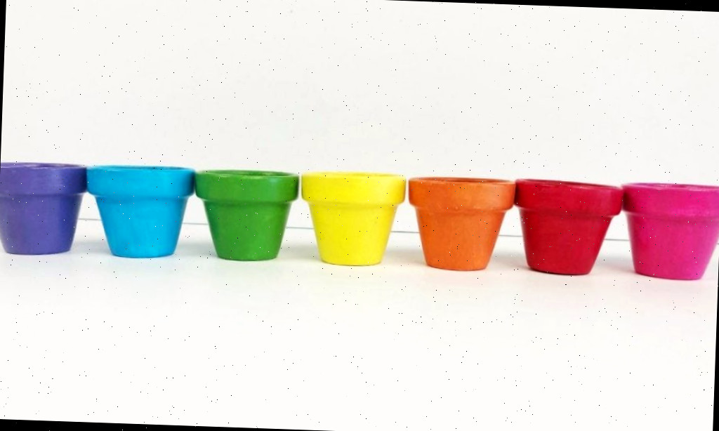 Uma paleta colorida de vasos de flores pintados