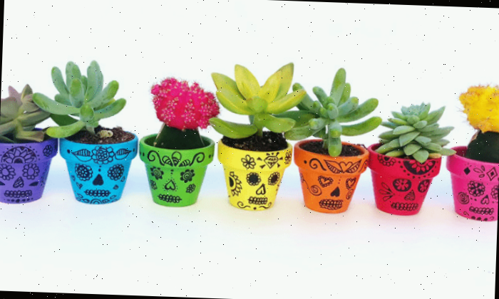 Artesanato de vasos pintados com caveira mexicana