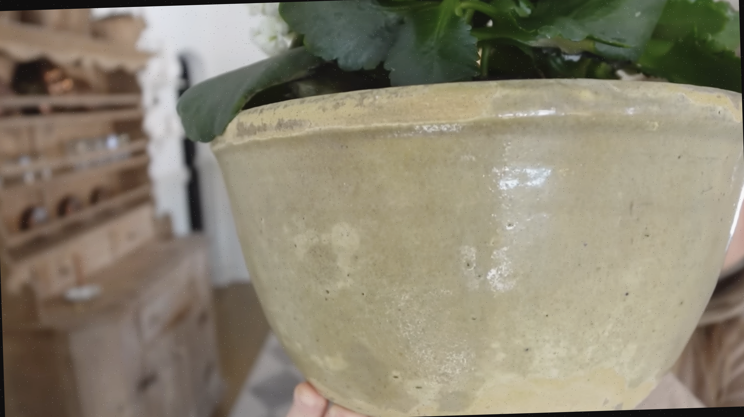 Cerâmica antiga para plantas de casa
