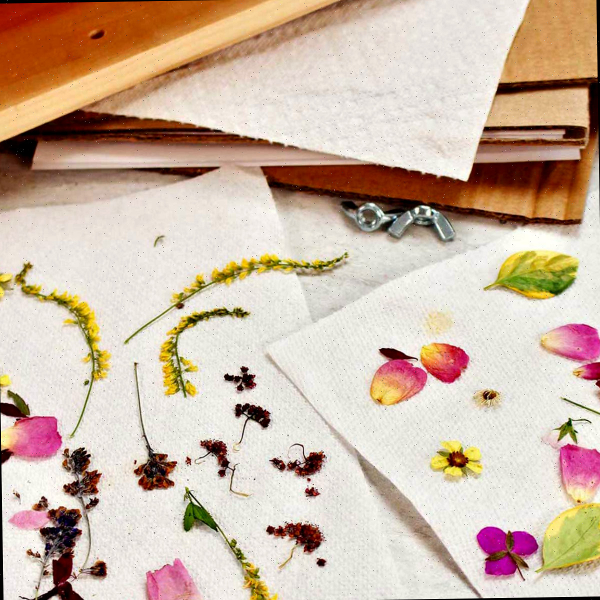 Prensa para flores e duas toalhas de papel contendo pétalas e flores prensadas.