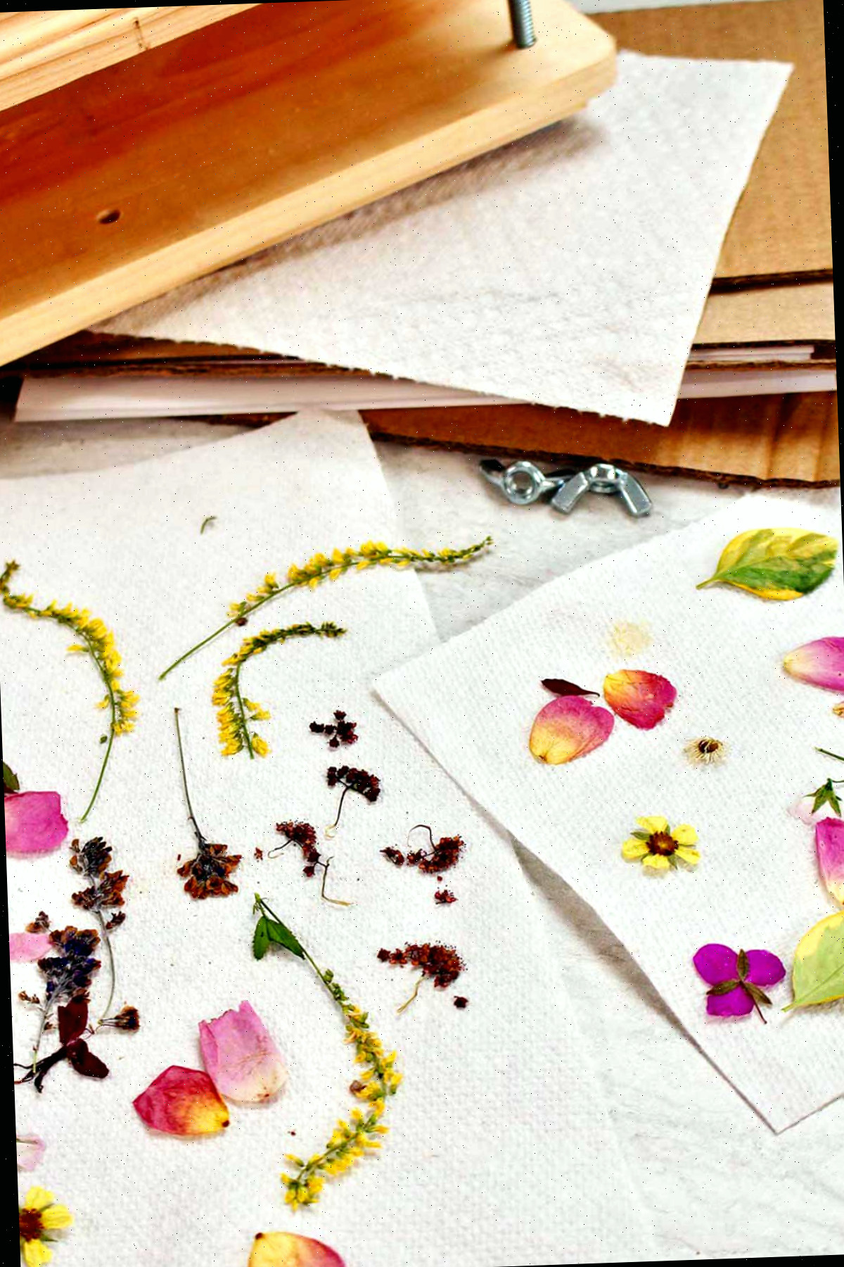 Prensa de flores e duas toalhas de papel com pétalas e flores prensadas.
