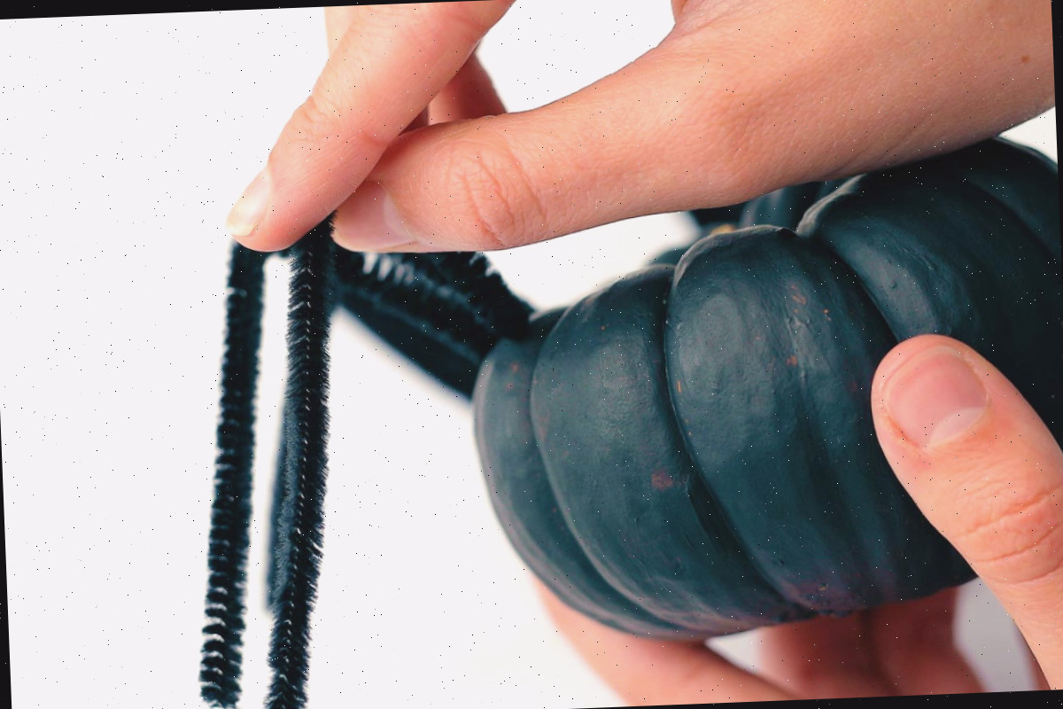 Adicionar limpadores de cachimbo pretos a uma mini abóbora pintada de preto para criar pernas de aranha.