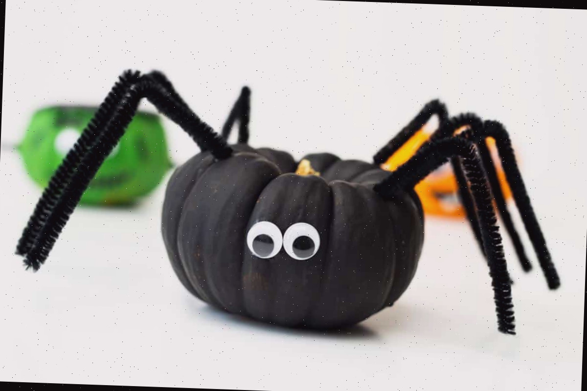 Mini abóbora do Frankenstein, abóbora com expressão engraçada, abóbora de aranha.