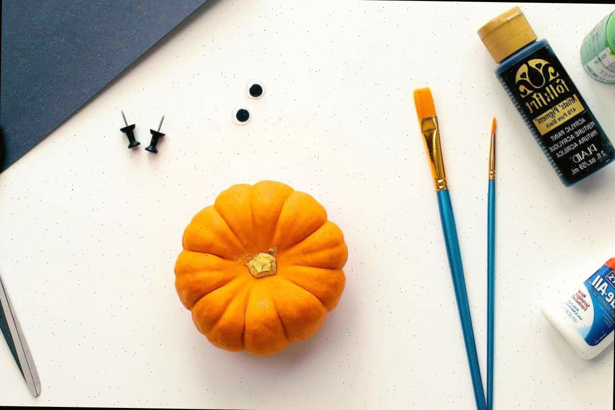 Uma mini abóbora, pincéis, frascos de tinta, olhos móveis, papel preto de construção e alfinetes.