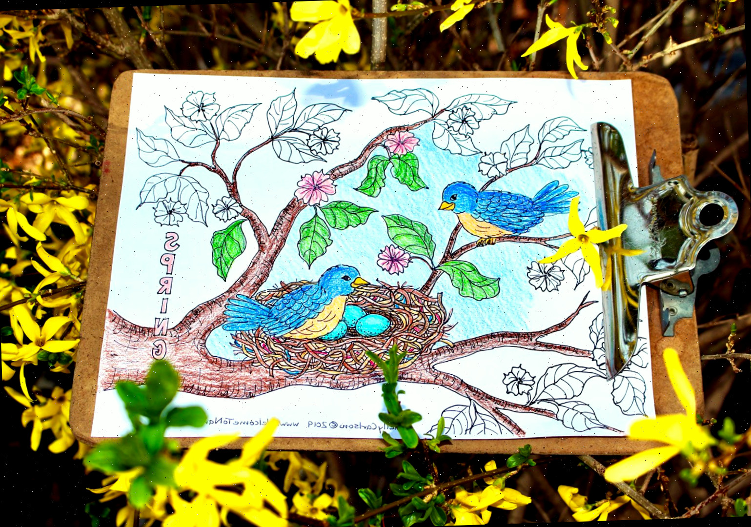 Coleções de Páginas para Colorir da Primavera! | Bem-vindo ao Nana's