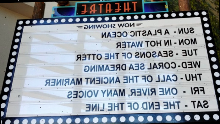 borda do cinema no Aquário ABQ