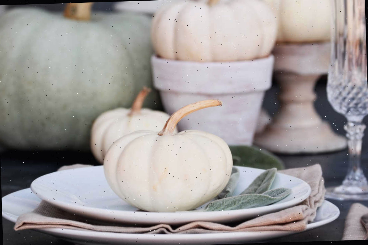 Decore para o Dia de Ação de Graças. Decoração de mesa de Ação de Graças com abóbora heirloom baby boo sobre um prato ao lado de uma flauta de champanhe e faca. Outras abóboras estão ao fundo.