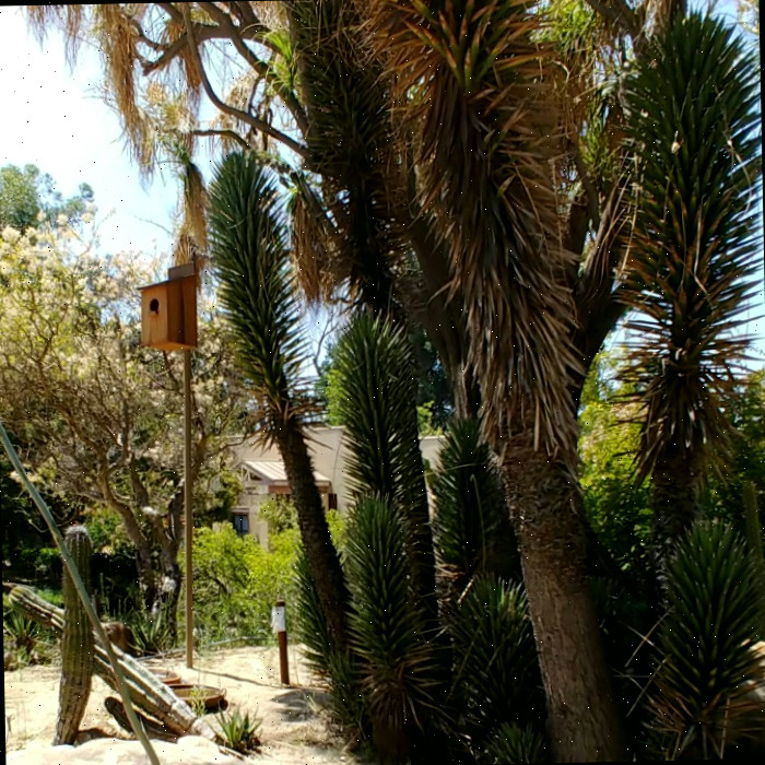 Zoológico e Jardins Botânicos de Los Angeles