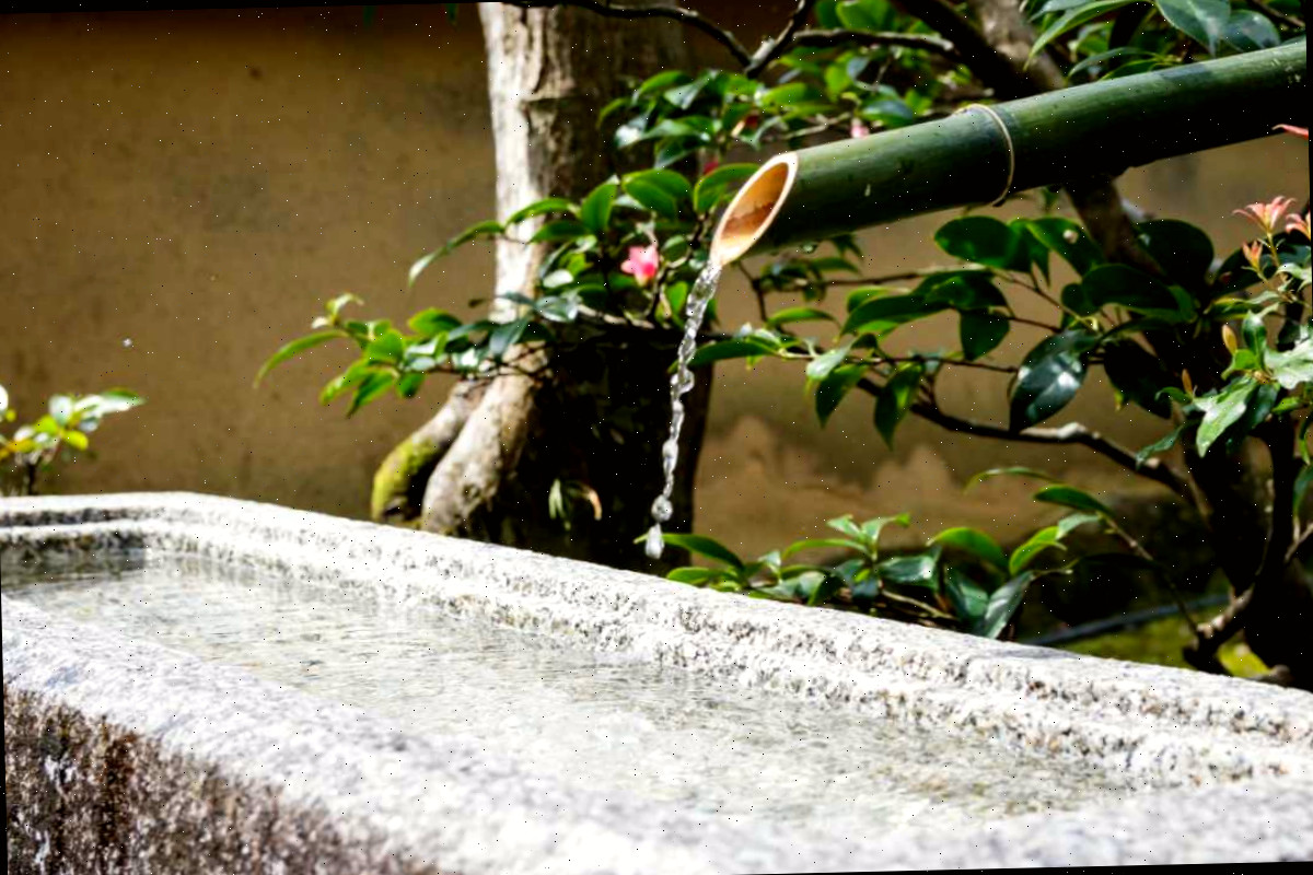trough de água de bambu com bica.