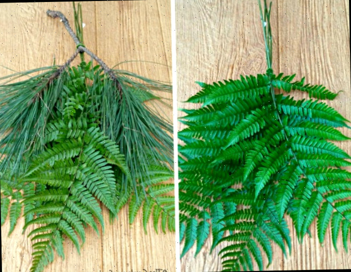 fazendo a base para o adereço de porta Uma colagem com imagens de duas grandes samambaias à esquerda e as mesmas duas samambaias com um galho de pinheiro em cima delas à direita.