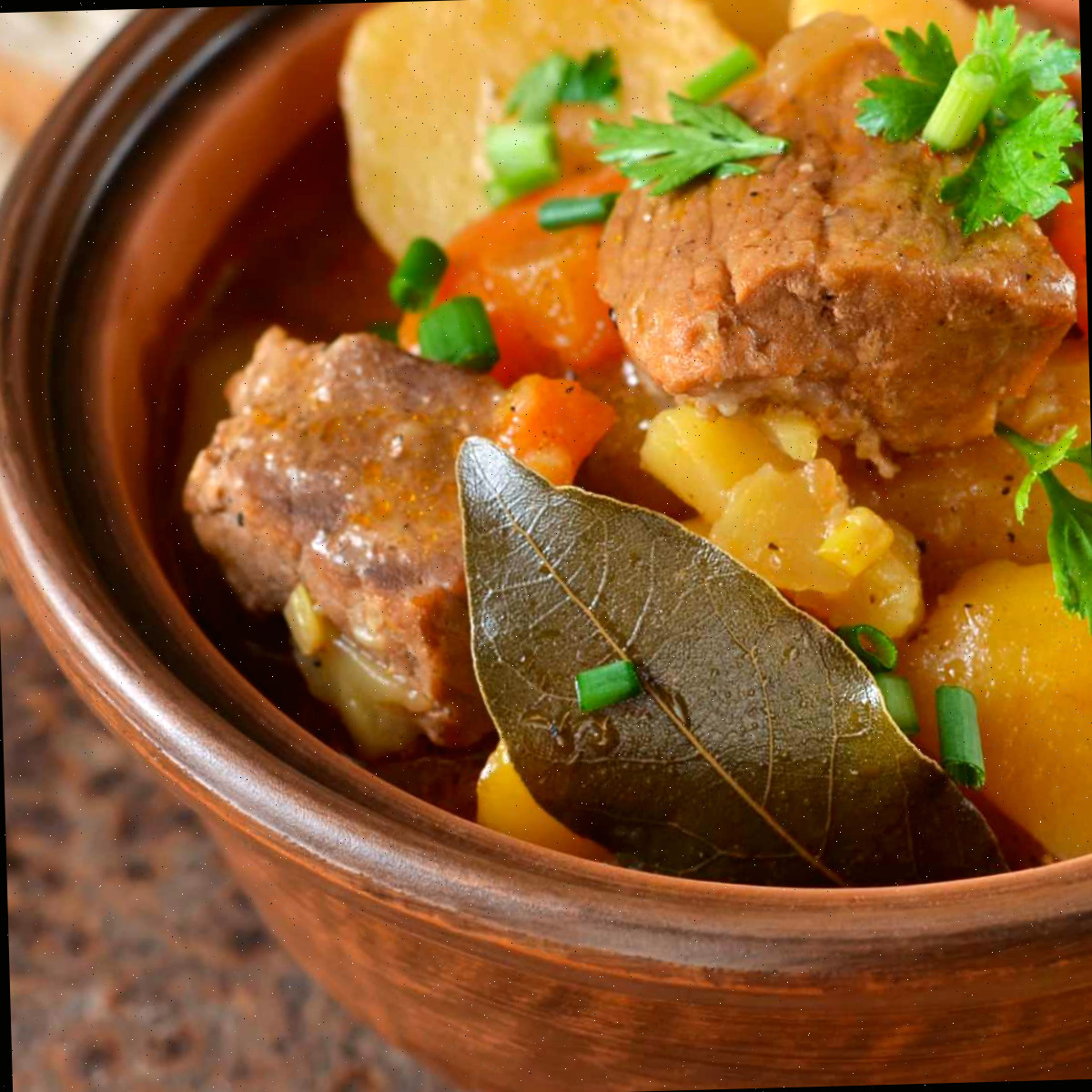 Cozinhando com Folhas de Louro - Usando Folhas de Louro em Receitas